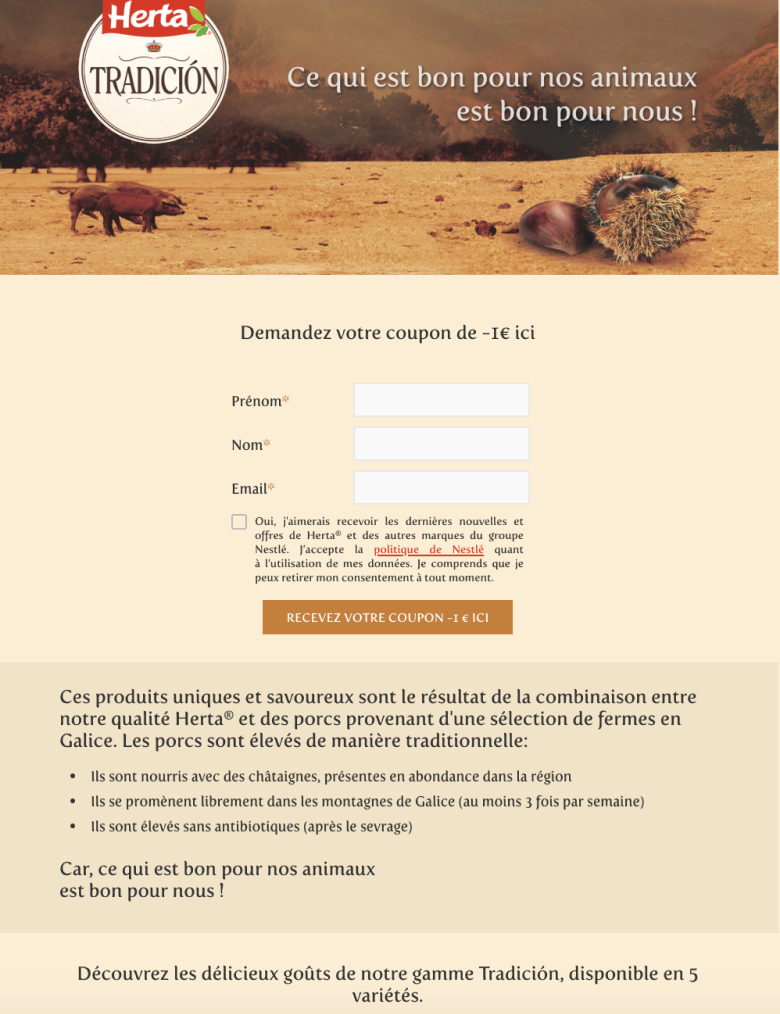3 estrategias para garantizar el éxito de tu campaña de marketing