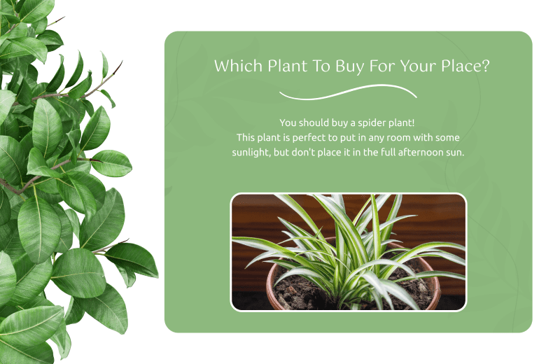 best-summer-marketing-campaigns-plant-1