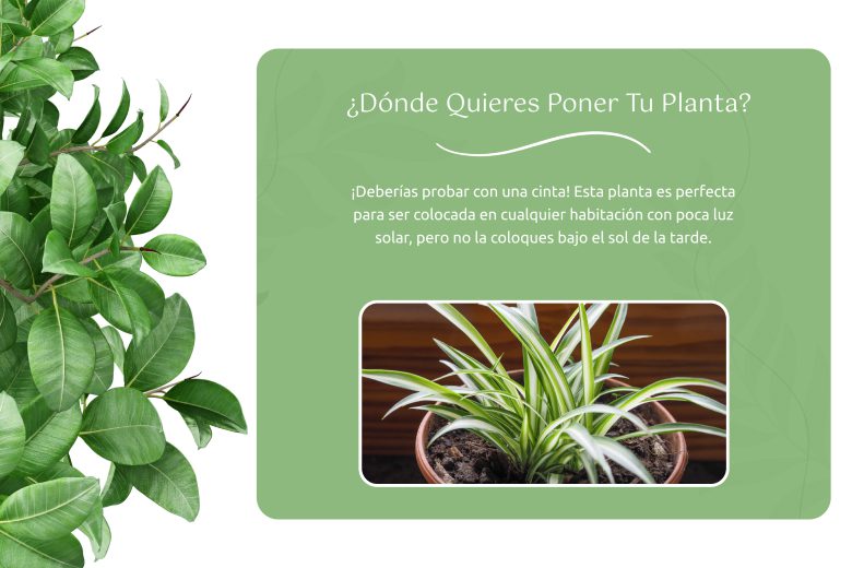 campanas-marketing-verano-test-2