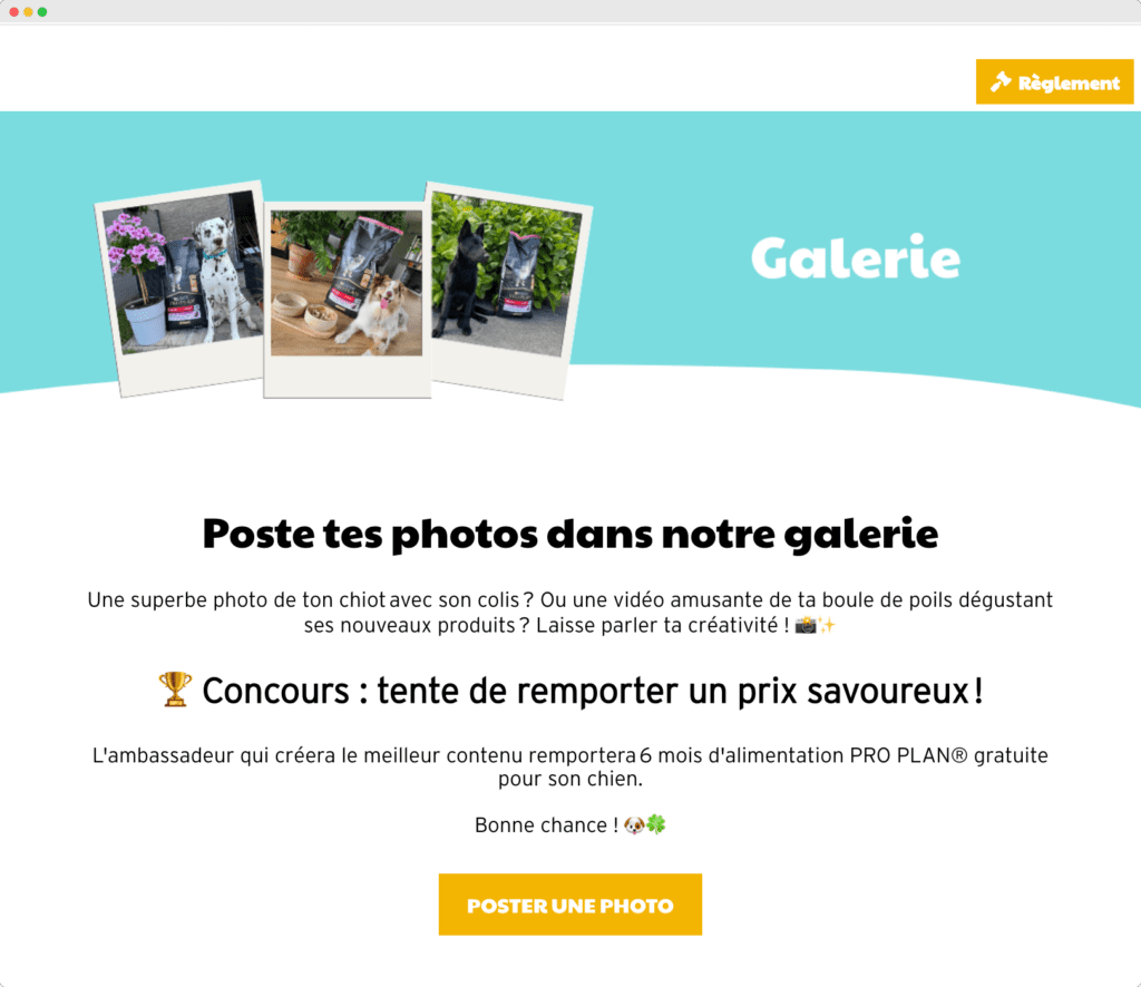 campanas-de-marketing-interactivo-concurso-de-fotos-dogofriends