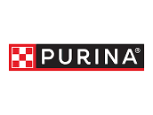 Logo 6