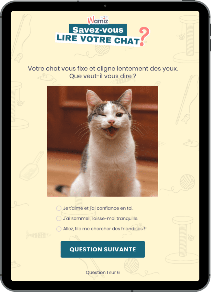 ipad-personality-quiz-wamiz-interactive-marketing-campaigns-of-april