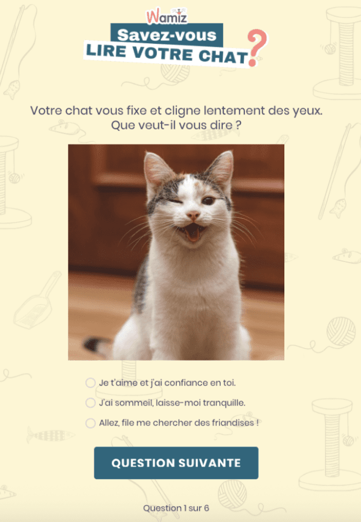 Can you read your cat?