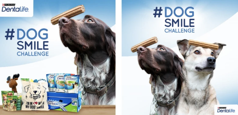 Dogofriends-interactive-marketing