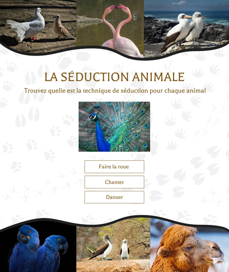 idées-créatives-Pâques-quiz