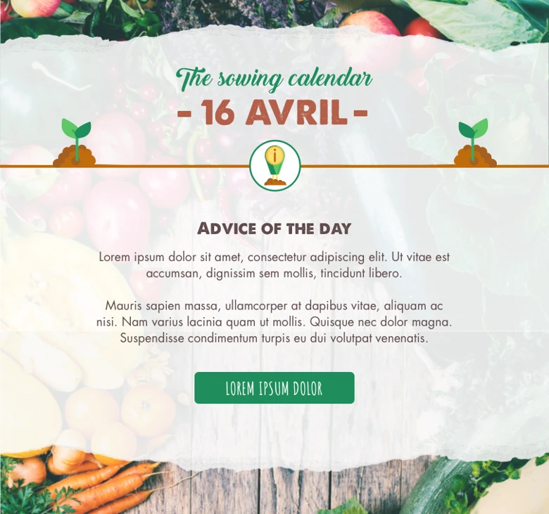 sowing-calendar-spring