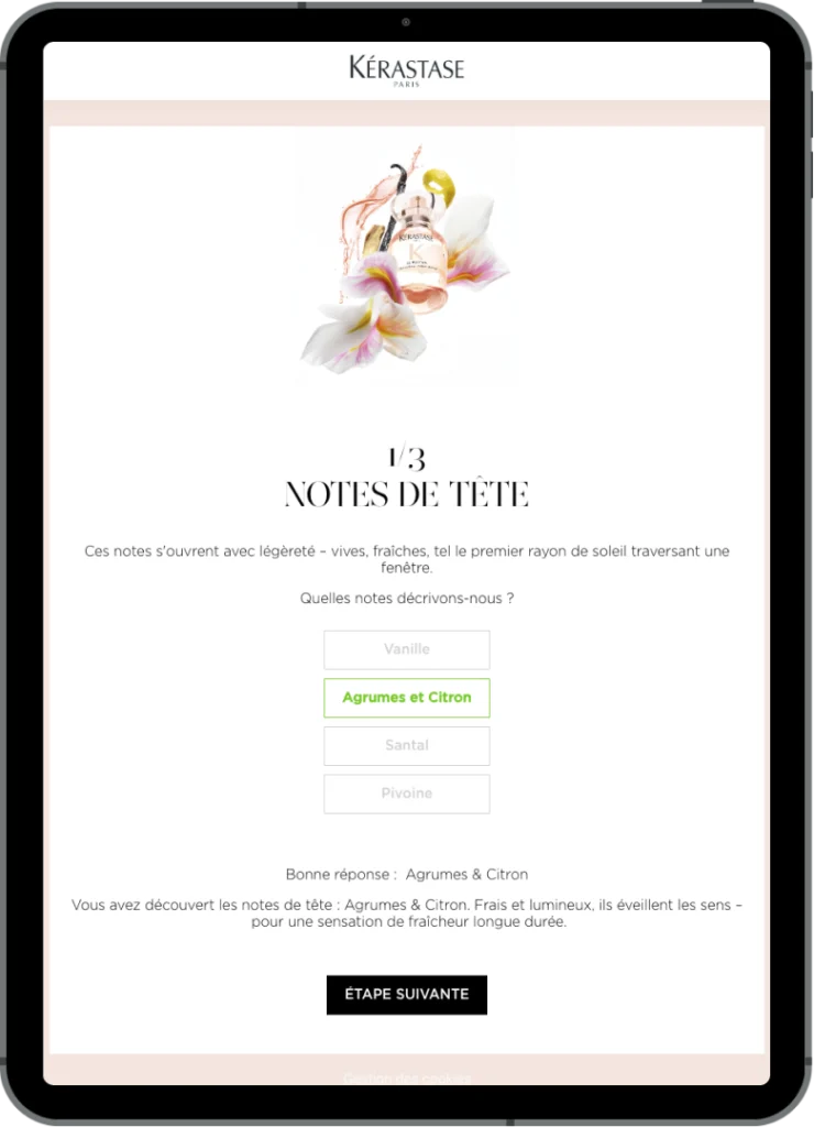 ipad-kerastase-quiz-interactive-marketing-campaigns-of-september