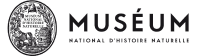 Verano en el zoológico